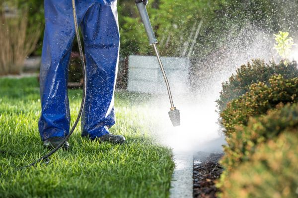 Cost of Curb Cleaning in Easley