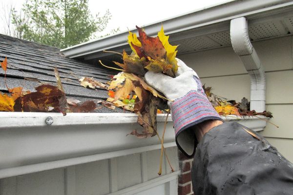 Cost of Eaves Cleaning in Easley